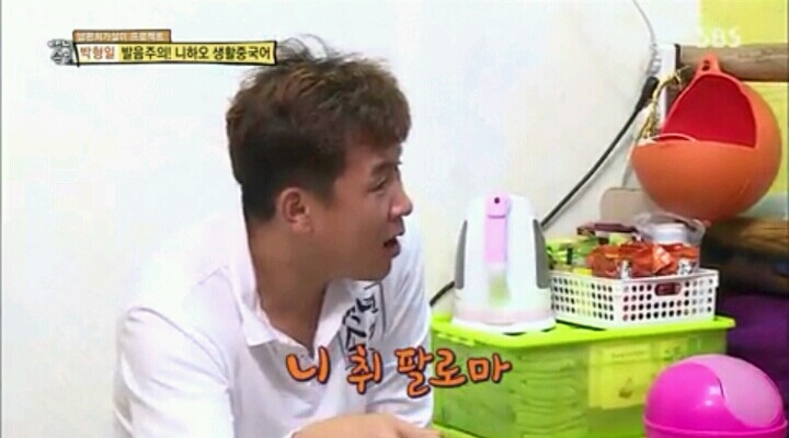 내가 이러려고 고양이됐나? | 인스티즈