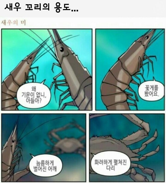 새우 꼬리의 용도 | 인스티즈