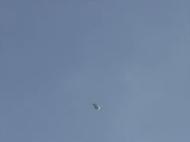 양아치 VS 프로 파이터 | 인스티즈