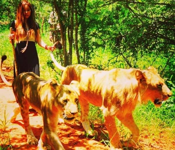 냥이와 산책.jpg | 인스티즈