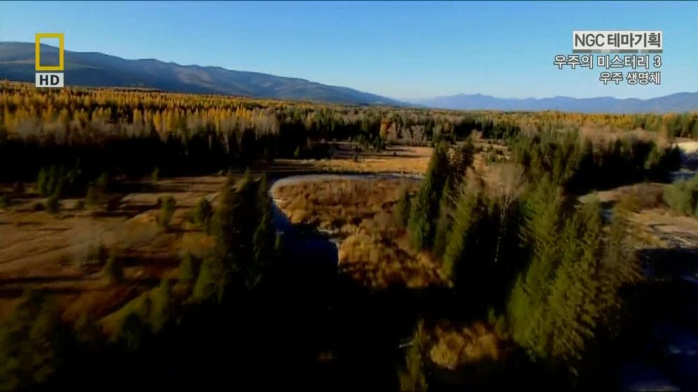 과학자들의 외계 생명체를 찾기위한 노력들.jpg | 인스티즈