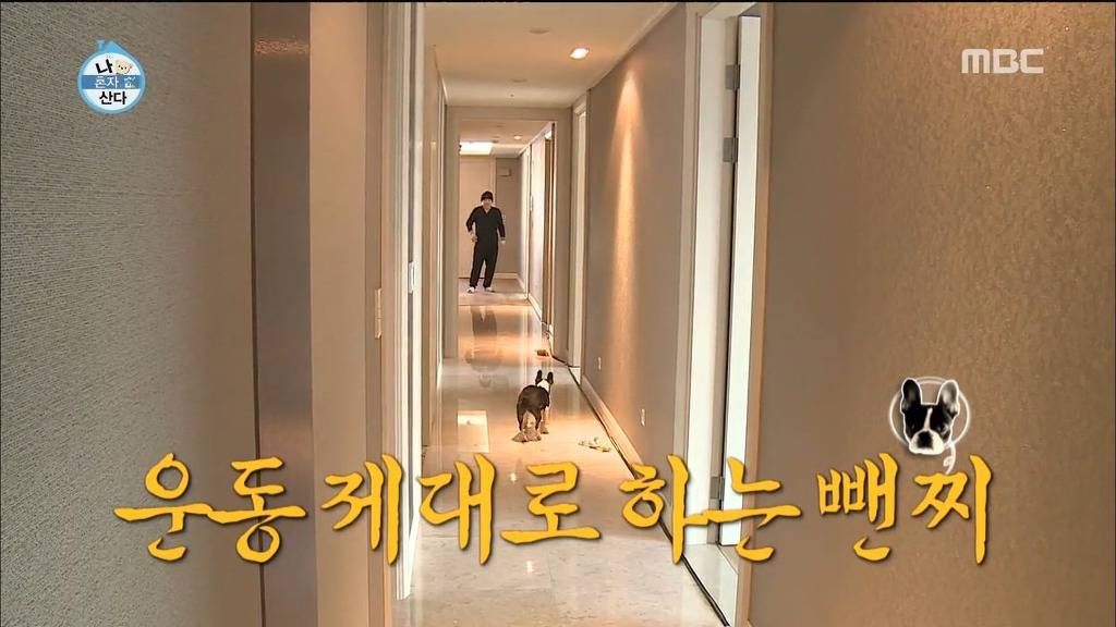 용감한형제 나혼자산다 | 인스티즈