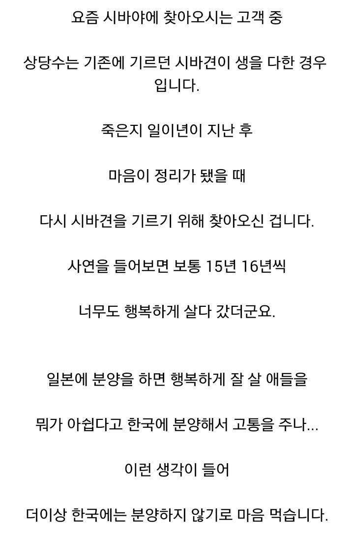 더 이상 한국인에겐 시바견 분양 안하겠다는 일본인 | 인스티즈