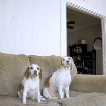 뭐가 있었는데.gif | 인스티즈