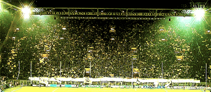 데이터주의) 돌문 응원 문화 | 인스티즈