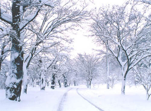 벌레개많고 개더운 여름 vs 개춥고 움직이기 싫은 겨울 | 인스티즈