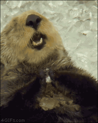 급하게 아이스크림 먹다가 머리아픔.gif | 인스티즈