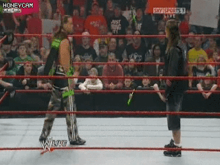 12년만에 화해하는 브렛 하트와 숀 마이클스.gif | 인스티즈