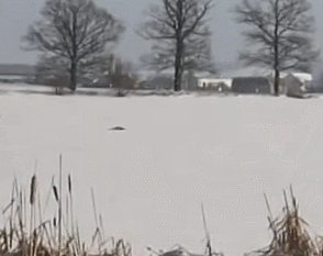 양아치 VS 프로 파이터 | 인스티즈