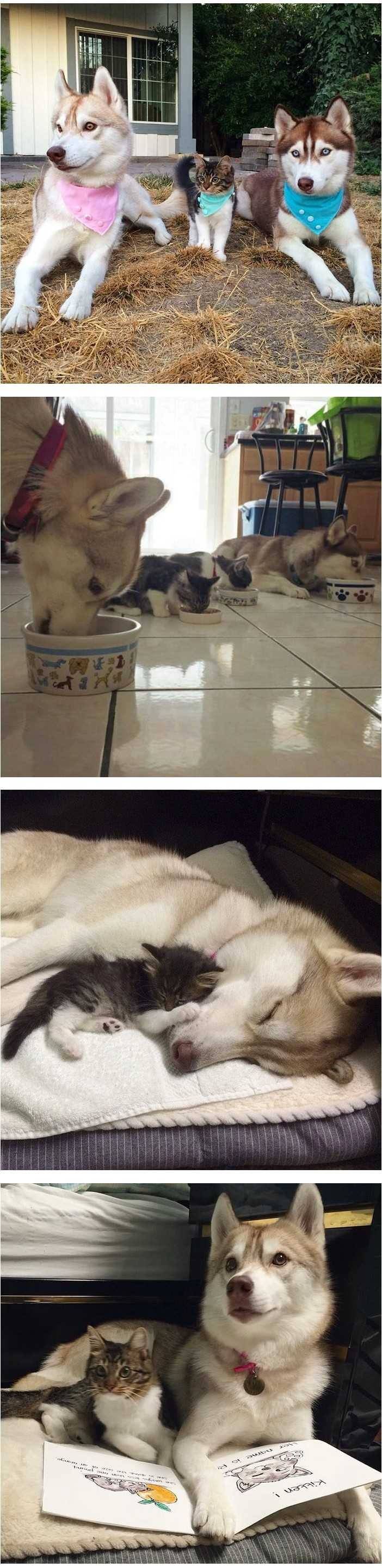 무서운 오빠가 셋이나 있는 집의 막내딸 | 인스티즈