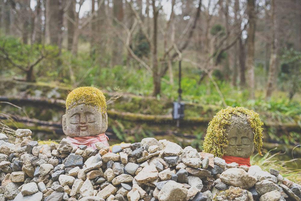 스냅사진 위주의 유치진지한 여행기 - 오사카&교토 (3) | 인스티즈