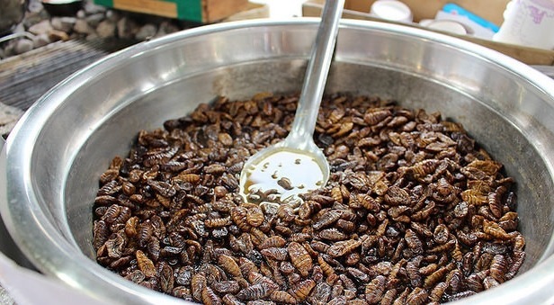 징글주의 혐오주의!!) 호불호 쩌는 음식 best에 손꼽히는 것 | 인스티즈