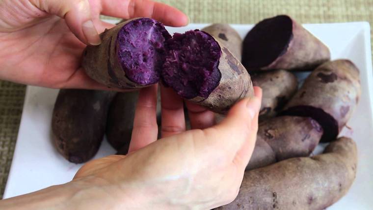 [자색고구마] 색이 좀 부담스러운 자색고구마 | 인스티즈