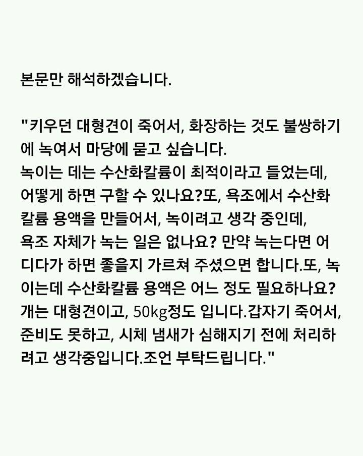 이 지혜주머니가 너무 무서워서 웃을 수가 없어wwww | 인스티즈