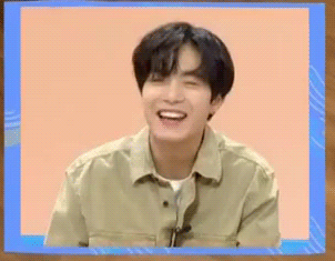 랜선라이프에 잠깐 나온 단추(댕댕이)가 너무 귀여워서 쪄보는 글 | 인스티즈