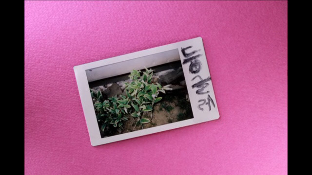 박막례 할머니에게 일주일동안 즉석 카메라를 맡겼을 때 | 인스티즈