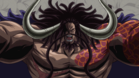 원피스 역사상 최강의 관심 종자 | 인스티즈