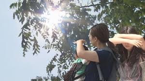 여름 호vs불호 | 인스티즈