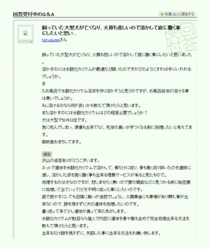 이 지혜주머니가 너무 무서워서 웃을 수가 없어wwww | 인스티즈