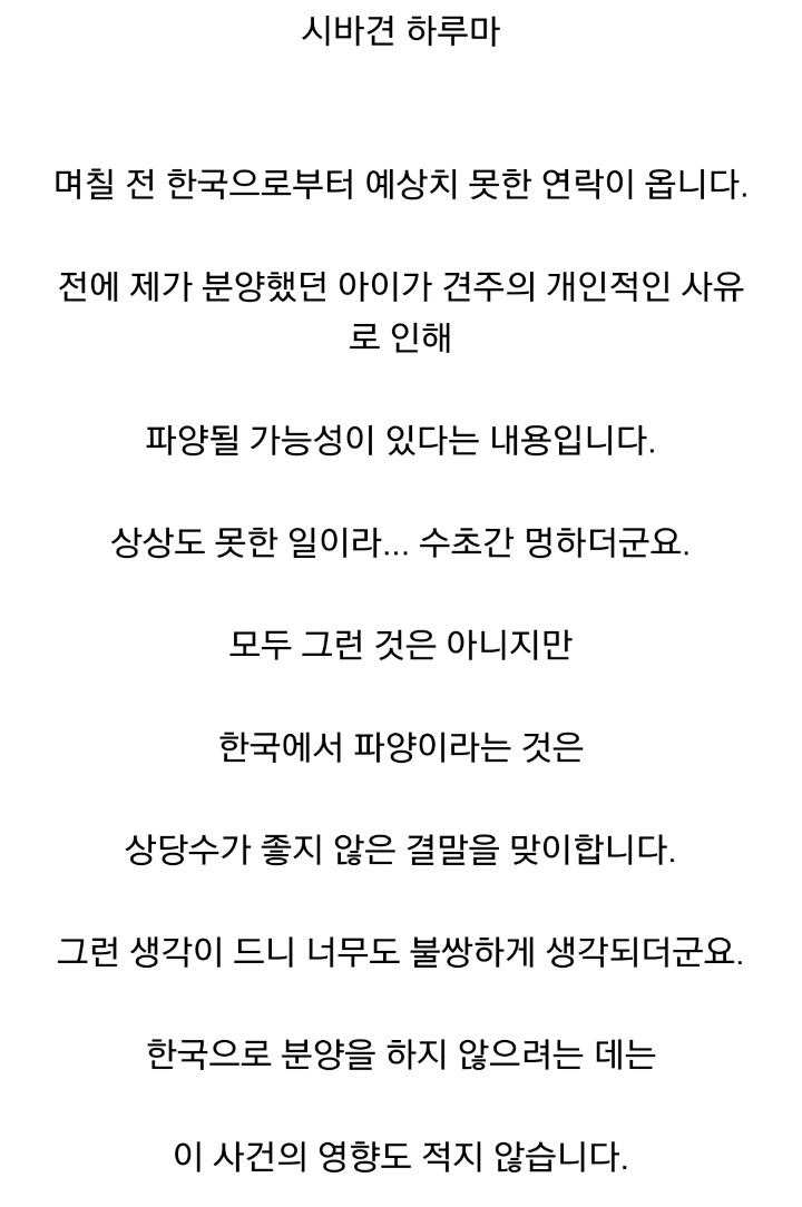 더 이상 한국인에겐 시바견 분양 안하겠다는 일본인 | 인스티즈