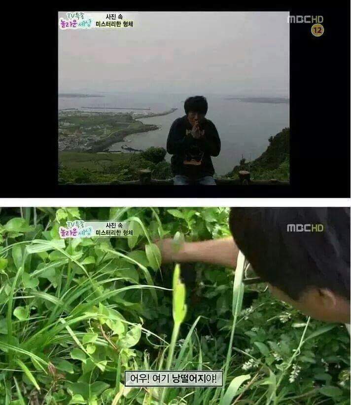 제주도에서 우연스럽게 찍힌 머리가 긴 남자.jpg (조금 무서운) | 인스티즈