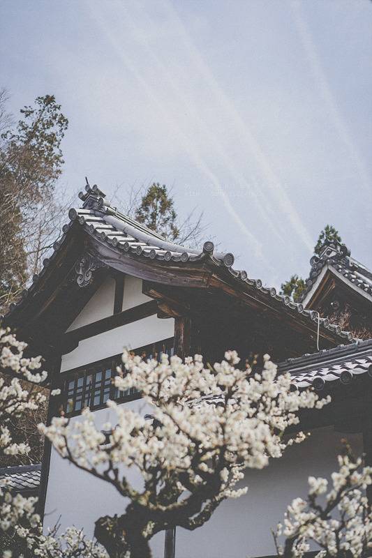 스냅사진 위주의 유치진지한 여행기 - 오사카&교토 (3) | 인스티즈