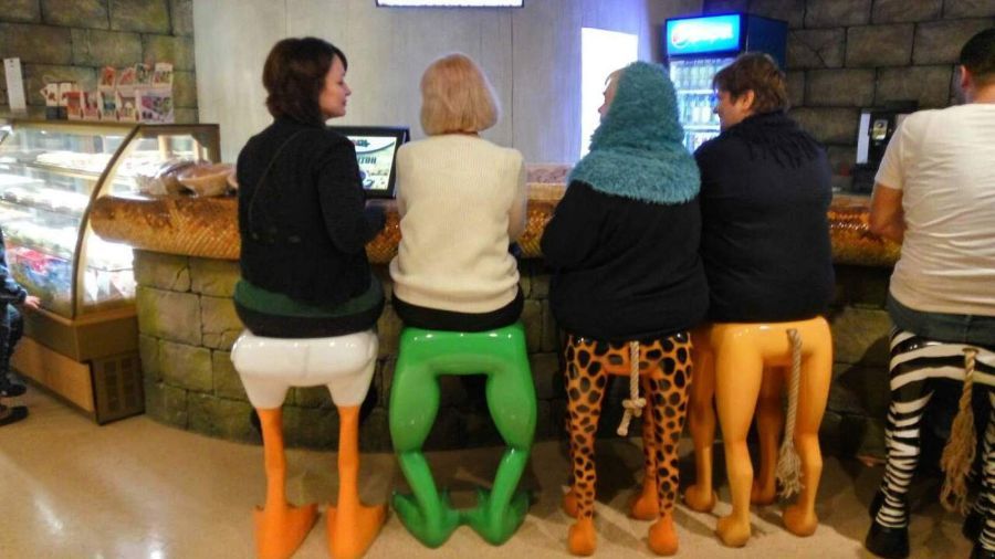 동물의자 | 인스티즈