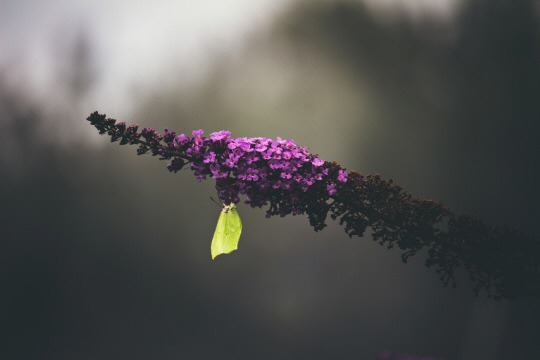  너에게 꼭 묻고 싶다 | 인스티즈