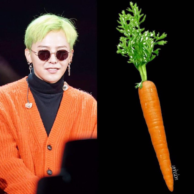 팬 인스타에 지디 댓글.jpg | 인스티즈