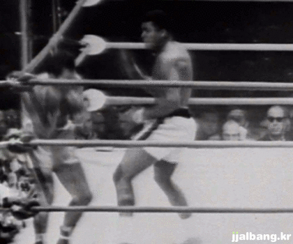 무하마드 알리.gif | 인스티즈