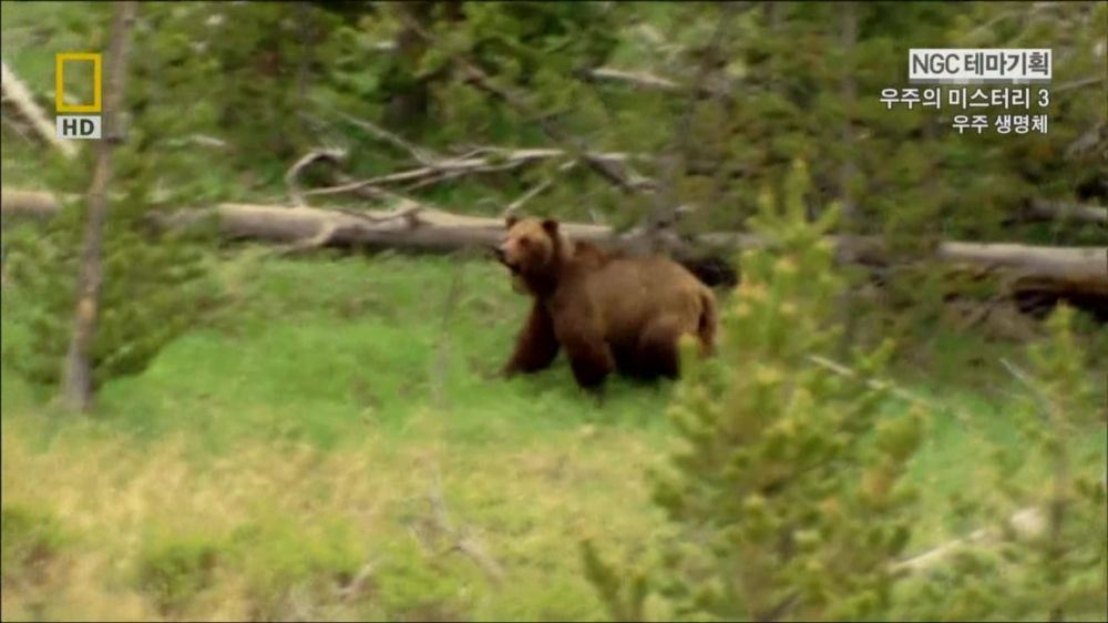과학자들의 외계 생명체를 찾기위한 노력들.jpg | 인스티즈