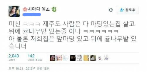 제주도니까 너네집에도 감귤나무키워? 에대한반박 | 인스티즈