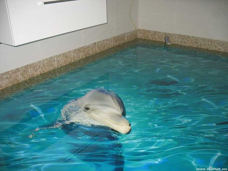 흔한 집안 바닥의 그림 | 인스티즈