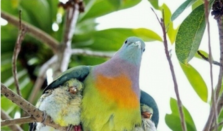 새끼를 안는 어미들의 표정 | 인스티즈