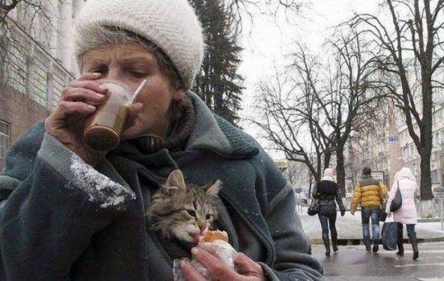 집사와 사이 좋은 냥님들 | 인스티즈