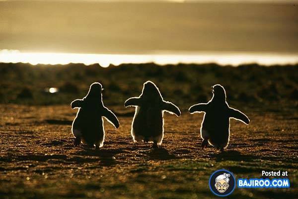 누구에게나 어린시절은 있다 | 인스티즈