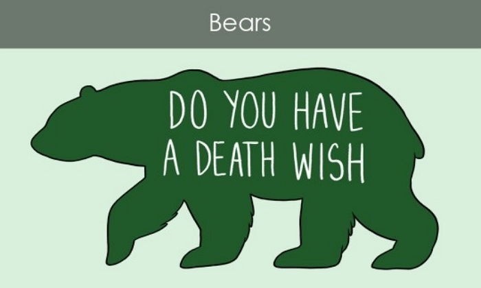 만져주면 좋아하는 부위와 싫어하는 부위 (동물편) | 인스티즈