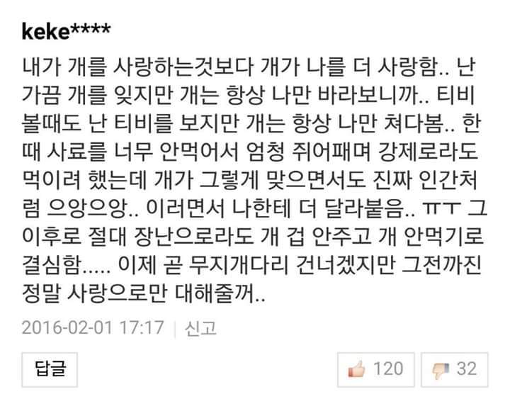 반려견들과 이별을 겪어본 사람들의 이야기 | 인스티즈