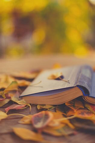 가장 좋아하는 계절은? | 인스티즈