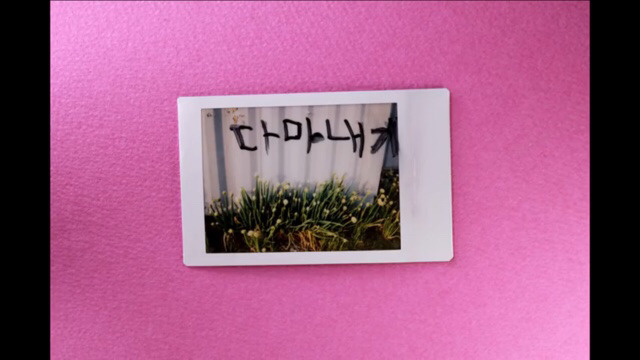 박막례 할머니에게 일주일동안 즉석 카메라를 맡겼을 때 | 인스티즈