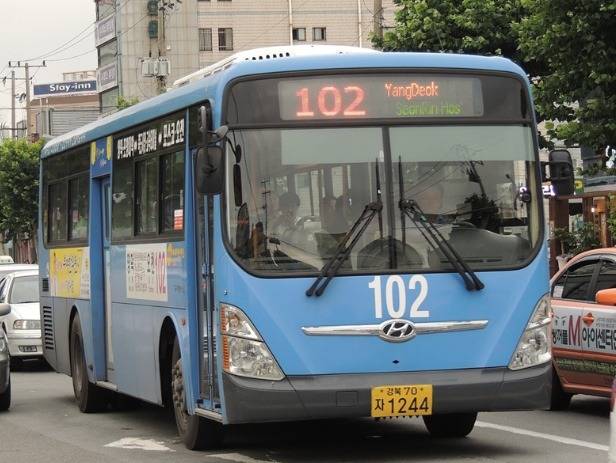 시내버스 서비스가 최악인 지역들 | 인스티즈