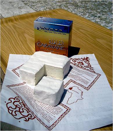 낙타 우유에 대한 고찰.jpg | 인스티즈