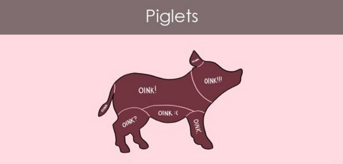 만져주면 좋아하는 부위와 싫어하는 부위 (동물편) | 인스티즈