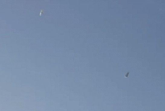 양아치 VS 프로 파이터 | 인스티즈