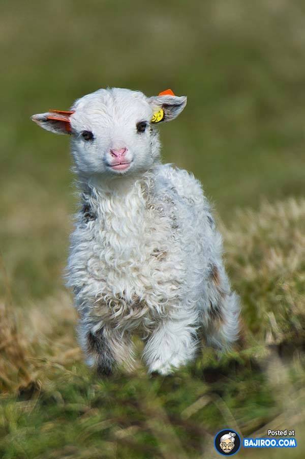 누구에게나 어린시절은 있다 | 인스티즈