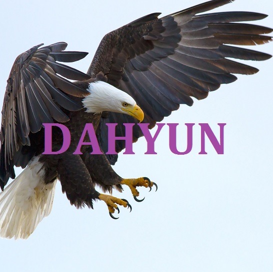 트와이스 지효가 말하는 멤버별 닮은 동물.jpg | 인스티즈