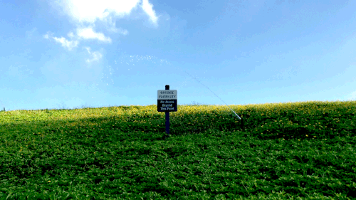  그게 사랑인가 봅니다 | 인스티즈