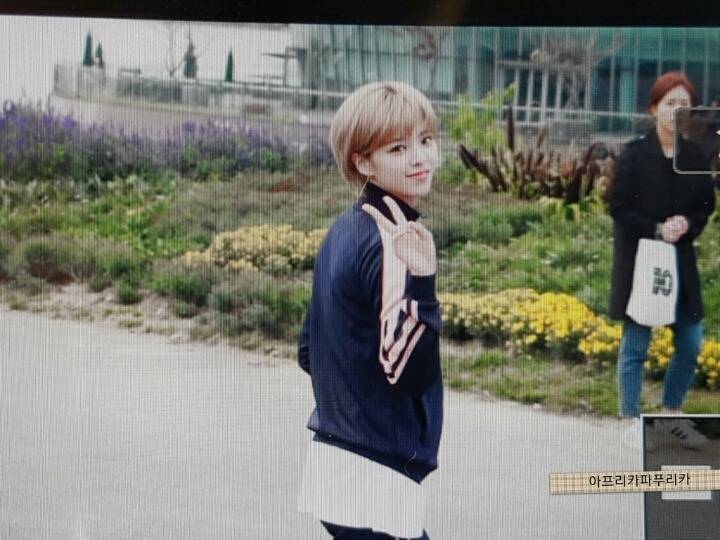 오늘자 트와이스 | 인스티즈