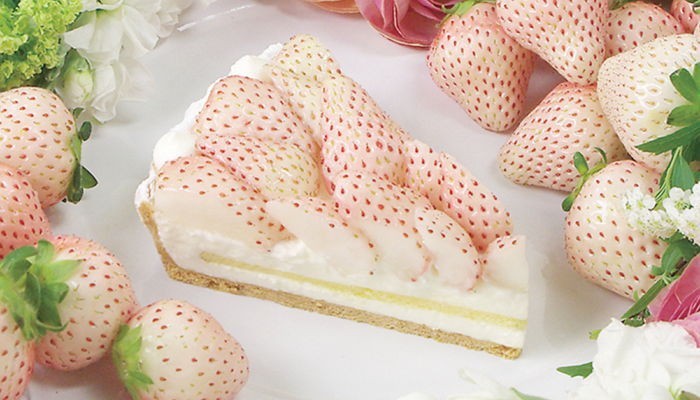 생크림 케이크와 '케미 돋는' 화이트 딸기 등장 (사진) | 인스티즈