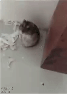 연기는 이렇게 하는거야~^^ | 인스티즈